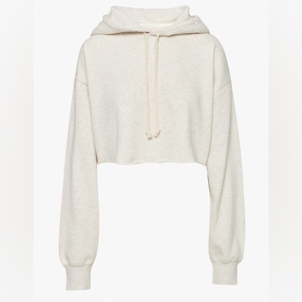 Aritzia Oatmeal Cropped Hoodie